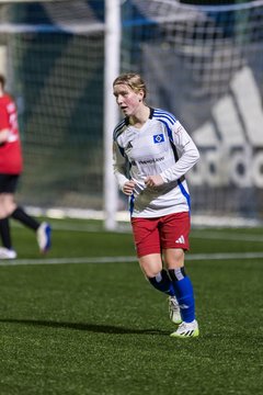 Bild 198 - wBJ Hamburger SV - Eimsbuettler TV 2 : Ergebnis: 16:0